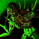 A gif shows a scary monster emerge from a sewer tunnel in Refund Me If You Can.